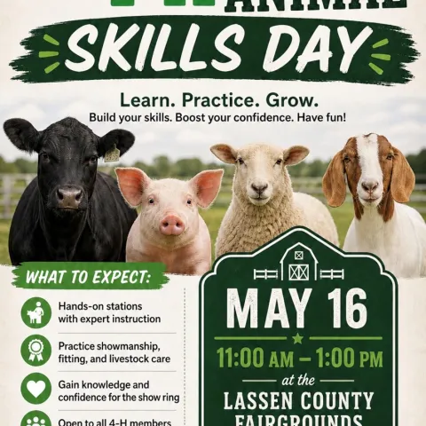 Large Animal Skills Day May 16, 11am-1pm, LC Fairgrounds