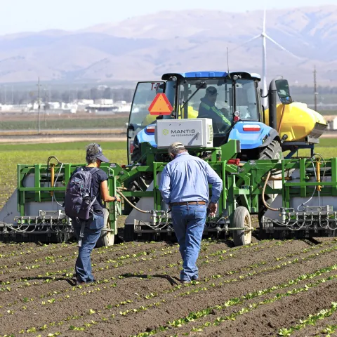 People walking in field