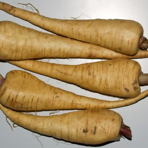 Five parsnips