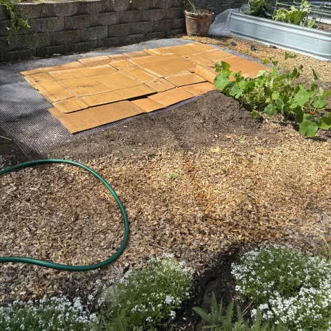 Photo of cardboard layer on soil with hardware cloth beneath the cardboard