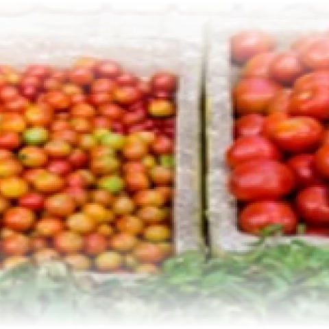 Farmers Market