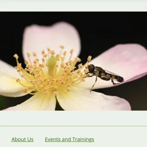 A screenshot of the UC IPM Home and Landscape home page.
