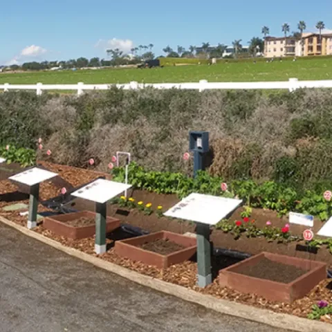 Ag Water Quality Demonstration