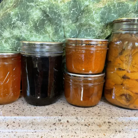 Lineup of preserved stone fruits in jars
