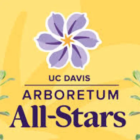 Arboretum All Stars logo of six petal lavender flower on a yellow-orange background