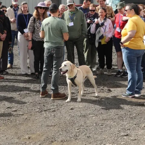 group of people standing around a dog and man during a demonstration