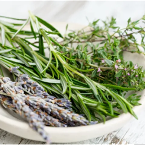 Fresh herbs in a white bowl including lavender, rosemary, and thyme.