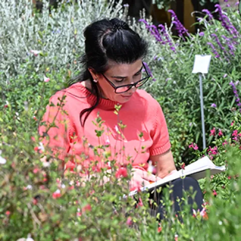 Tatiana Peshevska of Davis is nature-journaling in the UC Davis Bee Haven.