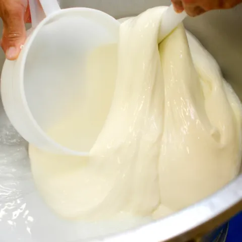 fresh mozzarella cheese being pulled out of hot whey with a ladle