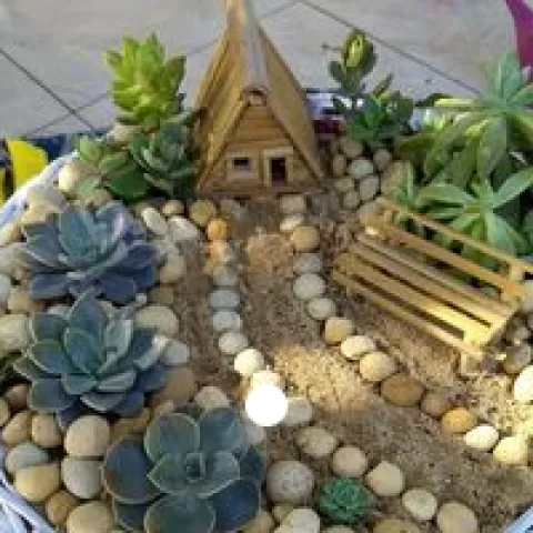 small container garden contains three small echiveria and other succulents, pebbles and a tiny wooden A-frame house