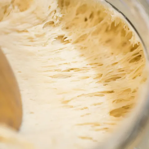 sourdough starter of flour and water bubbling in a glass jar
