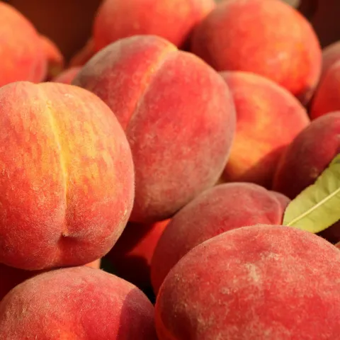 Peaches