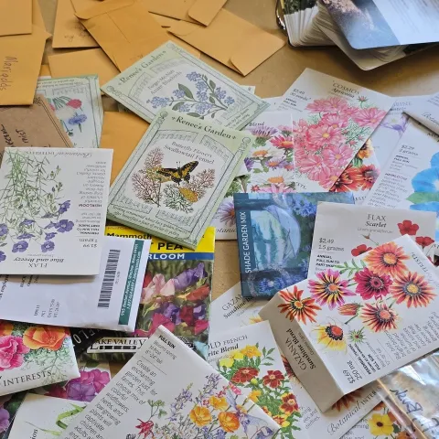 packets of seeds spread out on a table