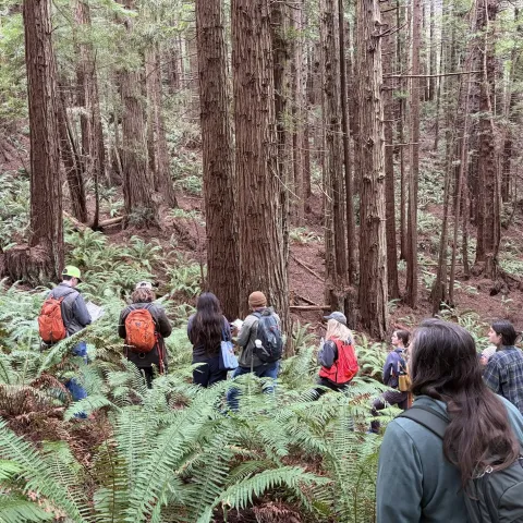 Tree School participants hike during an outdoor class.