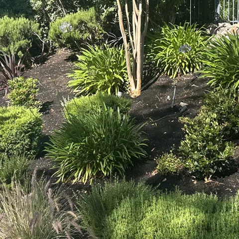 Banner image for Hillside Gardens