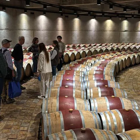 Seven people stand among dozens of wine barrels arranged concentric circles.
