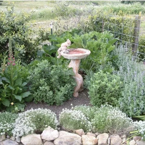 Garden with squirrel figurine