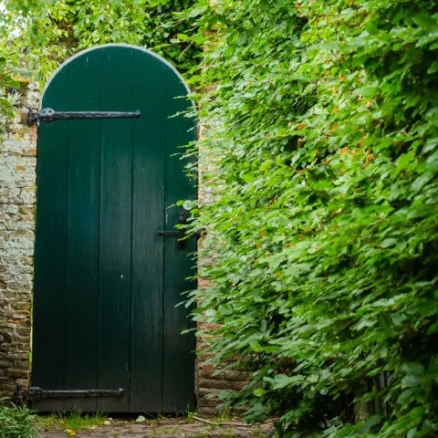 A dark green arched wooden gate set into a brick and stone wall, flanked by dense green climbing vines.