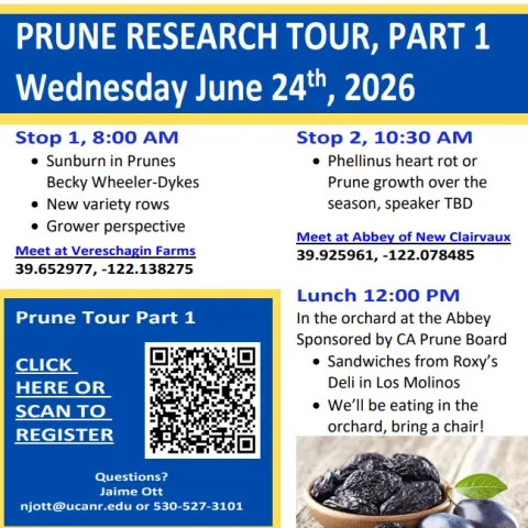 Prune Tour Part 1