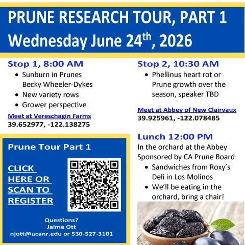 Prune Research Tour, Part 1 2026 - Flyer