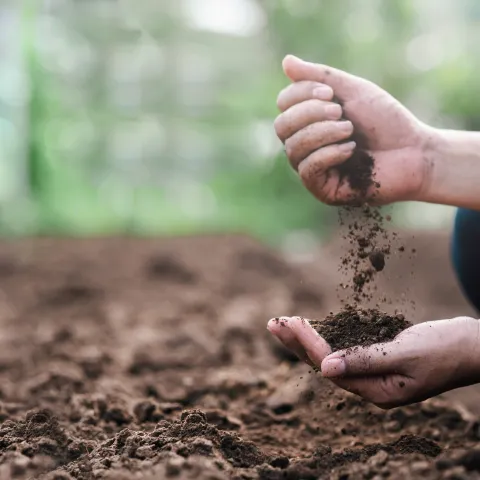 Closeup of a hand pouring soil into another open hand. There is a blurry green background.