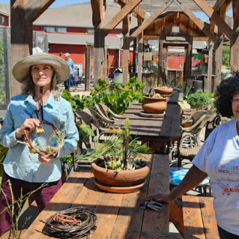 Master Gardeners demonstrating willow wreath making