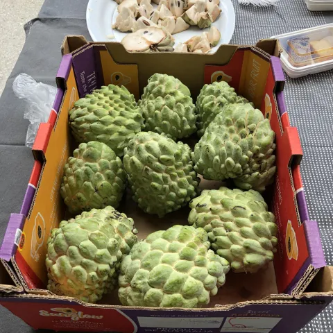 atemoya