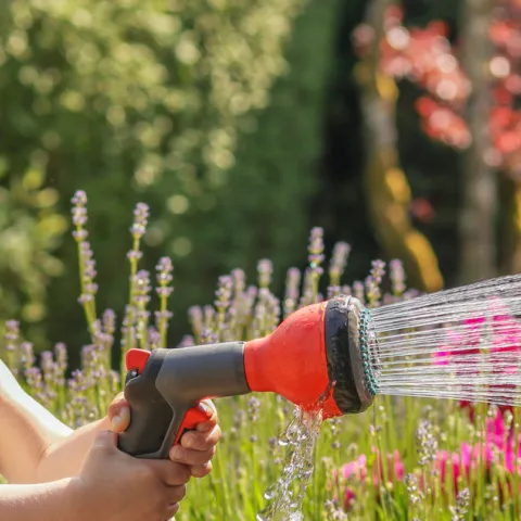Banner image for water Conservation