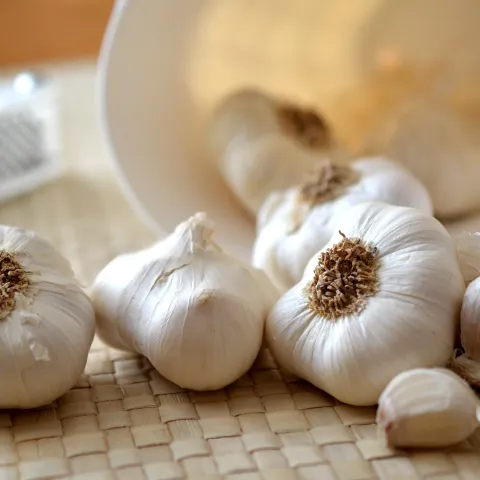 Pixabay garlic