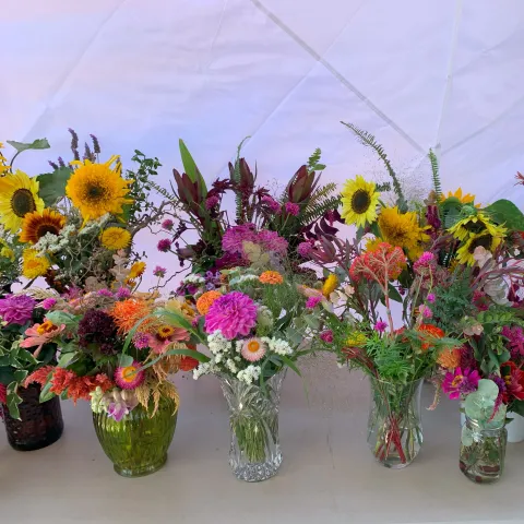 cut flowers in vases