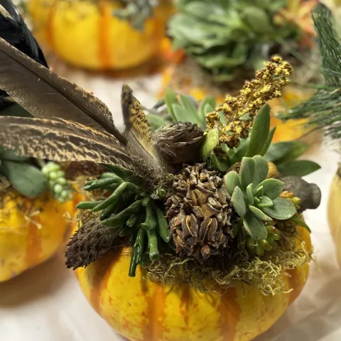 holiday decorations using succulents