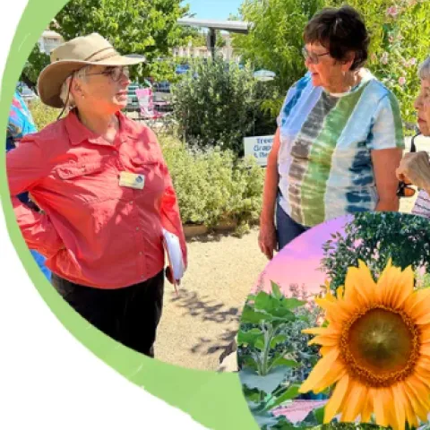 volunteers talking in a garden