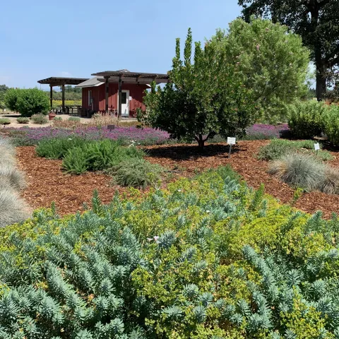 View of the Demo Garden grounds. Laura Kling
