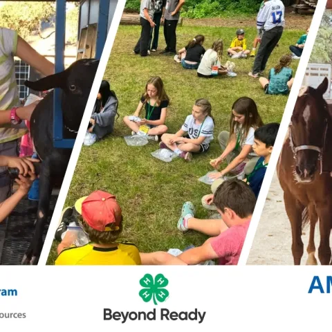 Collage of Amador County 4-H youth participating in activities such as gardening, horsemanship, goat grooming, camp, and cooking! 