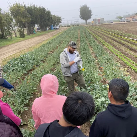 Person standing in a farm field with clients listening to educational content.