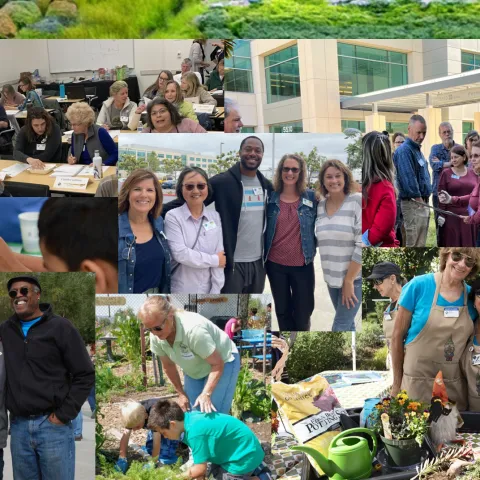 Happy Master Gardeners doing a variety of group activities such as learning, helping, and being together.