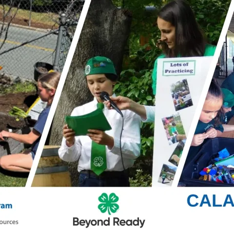 Collage of Calaveras County 4-H youth participating in activities such as cooking, LEGO building, showing rabbits, gardening, and public speaking. 