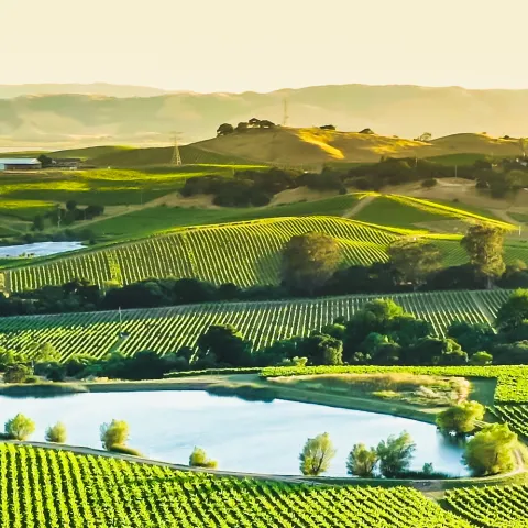 California agricultural landscape_edited