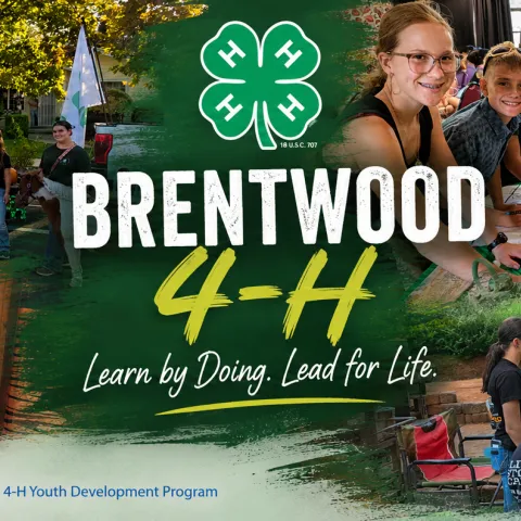 Brentwood 4-H promotional banner featuring youth participating in community service, leadership activities, livestock competitions, club meetings, and outdoor camp experiences. The banner displays the text "Brentwood 4-H" with the slogan "Learn by Doing. Lead for Life." and includes University of California Agriculture and Natural Resources and 4-H Youth Development Program branding.