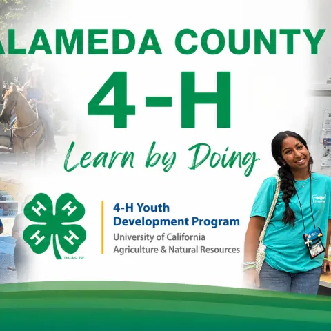 Banner featuring Alameda County 4-H youth participating in horseback riding, leadership, food service, cultural education, and recognition activities, with the 4-H Youth Development Program logo and the slogan "Learn by Doing."
