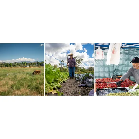 Three business builder award recipients representing their farm or food business.