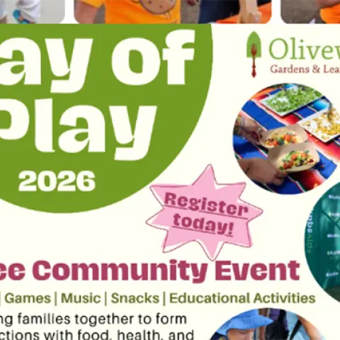 Day of Play Banner