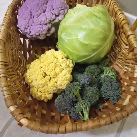 Fall & WInter Vegetables in a Basket