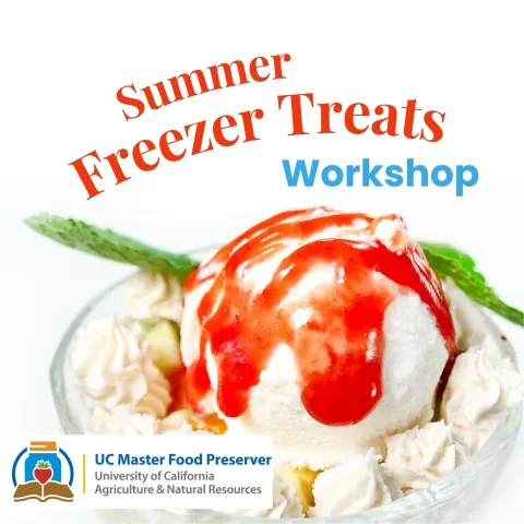 Summer Freezer Treats Workshop spelled out above a scoop of vanilla ice cream covered in red strawberry syrup