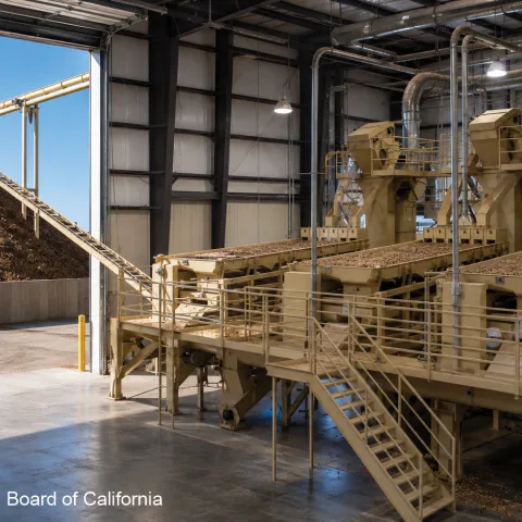 On left is a tall mound of almond hulls at the end of a conveyer running from an almond processing plant. On right are three machines, side by side, with trays full of nuts