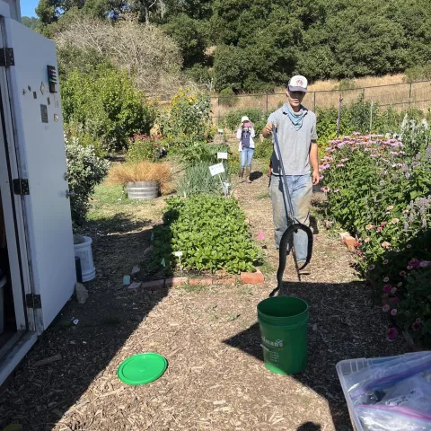 snake being captured and placed in a bucket