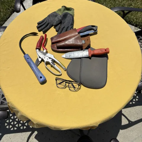 Table with gardening tools