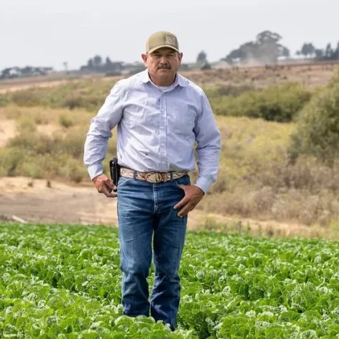 Farmer standing in a field of greens