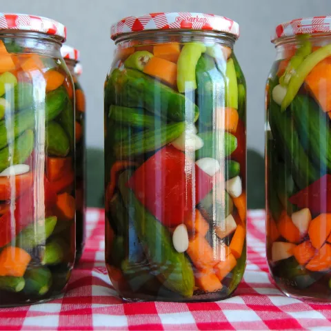 Three glass jars filled with pickled cucumbers, carrots, peppers, and garlic sit on a red and white checkered tablecloth 