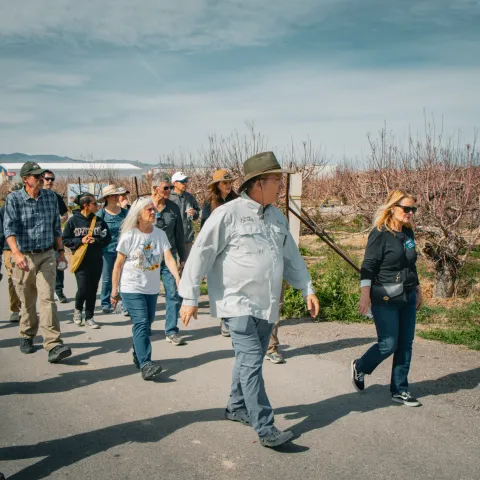Group touring an orchard during winter